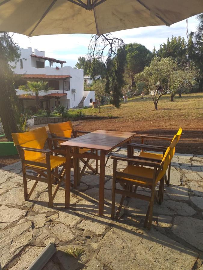 Cortessa Apartments Nikiti  Bagian luar foto